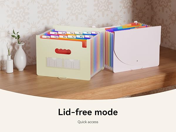 ABC life 12 Pockets Accordion File Organizer Expanding File Folders