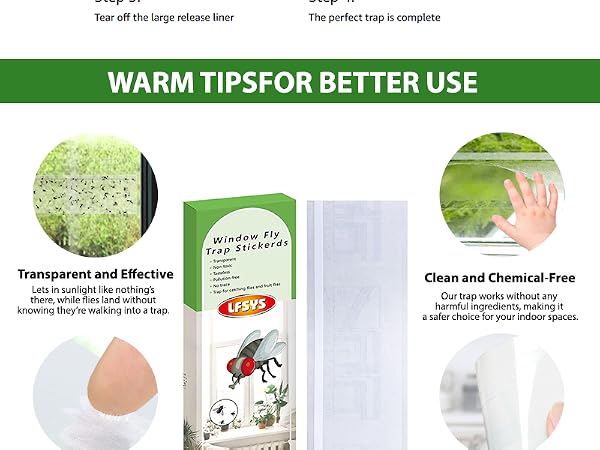Window fly trap