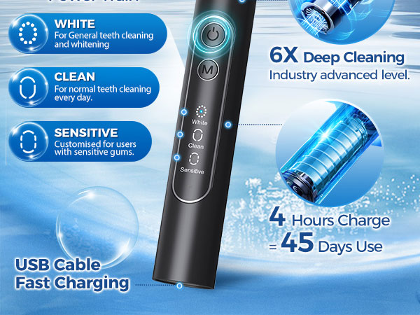 Rotating Electric Toothbrush for Adults