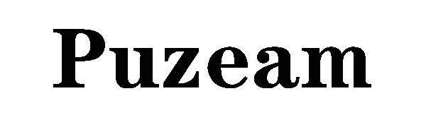 Puzeam shoelaces