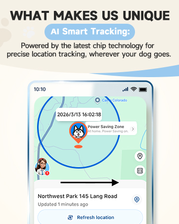 smart dog tracker