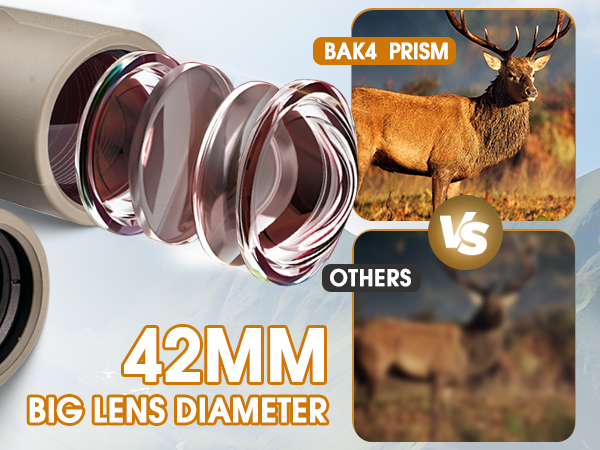 binoculars for adults high powered