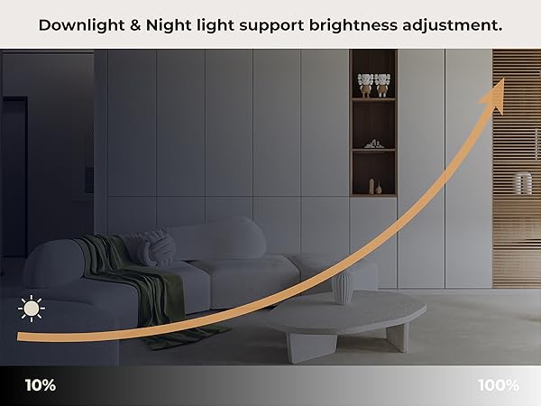 dimmable ceiling light