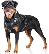 rabbitgoo Tactical Dog Harness for Large Dogs, No Pull Military Dog Harness with Handle &amp; Molle, ...