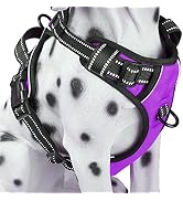 PoyPet No Pull Dog Harness, Reflective Comfortable Vest Harness with Front &amp; Back 2 Leash Attachm...