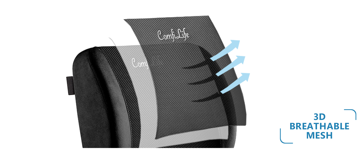 lumbar support back pillow