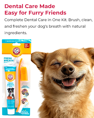 cat travel odoban disinfectant room absorbers hardwood floor cleaner absorber rug strong largelitter