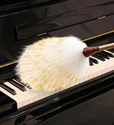 feather duster for cleaning