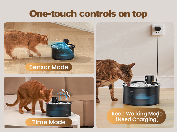 cat water fountain