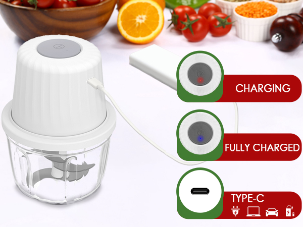 electric garlic chopper