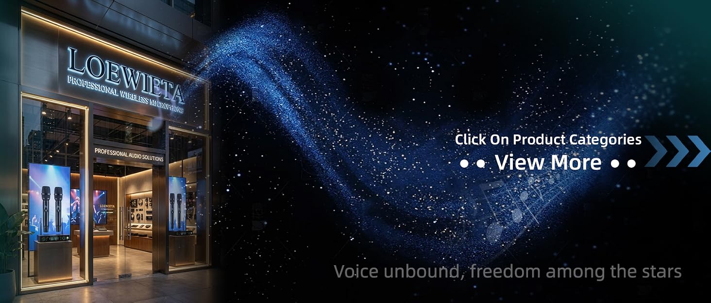 Professional Wireless Microphone