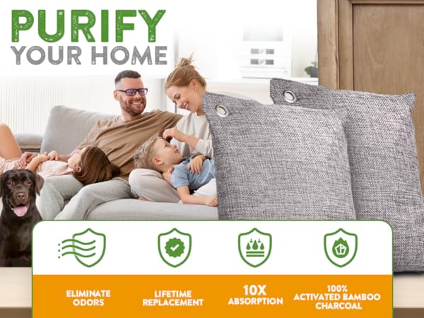 odor charcoal absorber eliminator bags air bamboo deodorizer activated closet bag car purifying