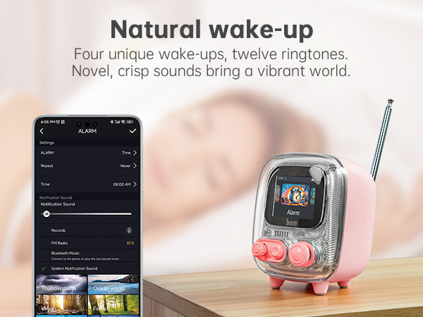 bluetooth speaker loud