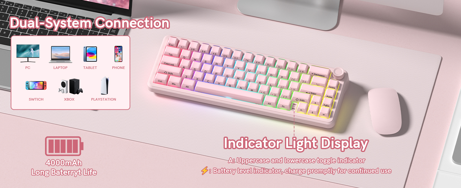 Dual-System Connection