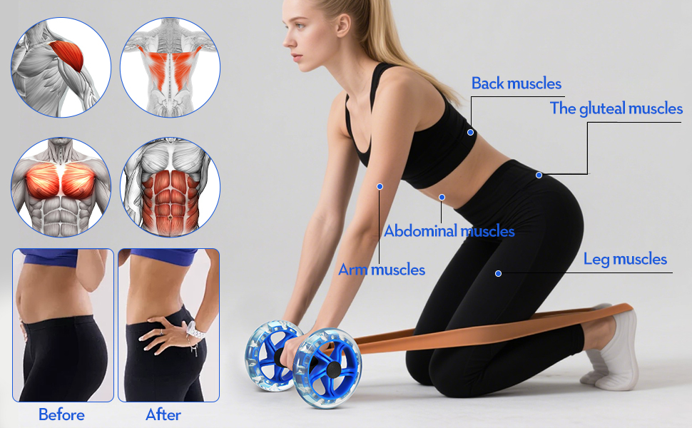 ab wheel roller for core workout
