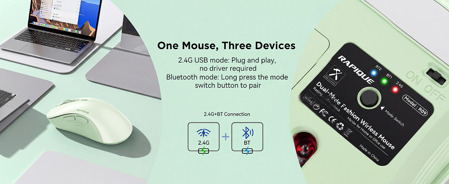 R09 mouse