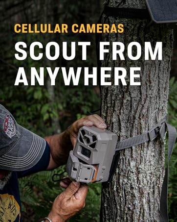 Cellular Cameras - Scout from Anywhere