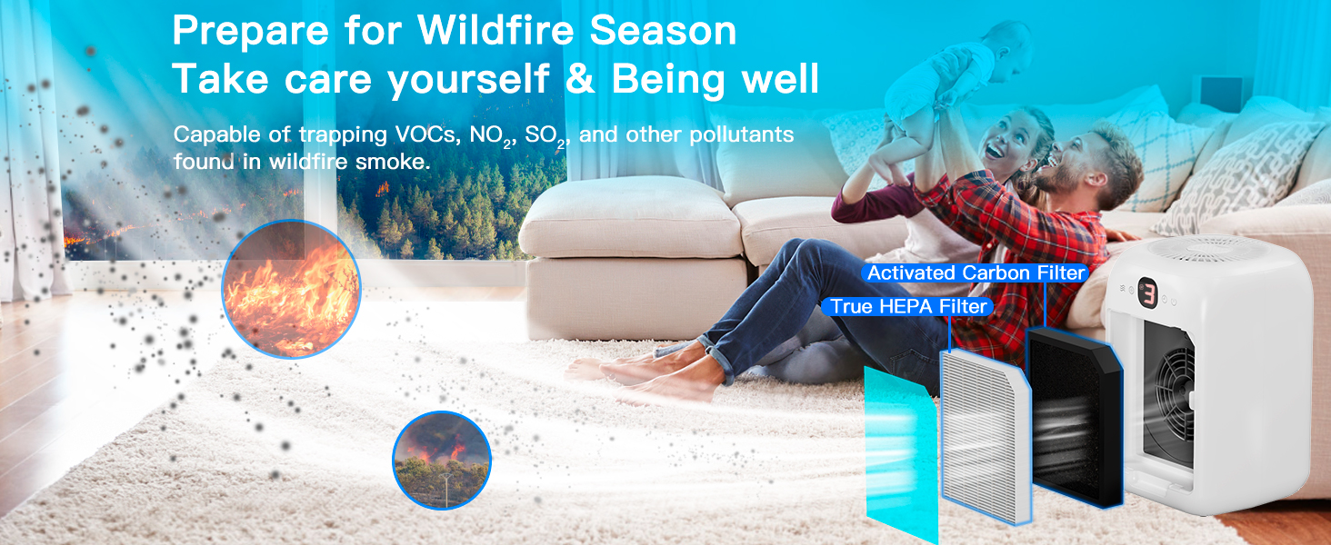 air purifiers for home large room