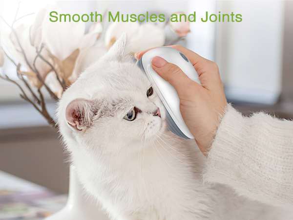 Cordless Pet Massager