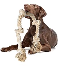 https://m.media-amazon.com/images/I/519jrZtlnOL.__AC_SR200,225___.jpg