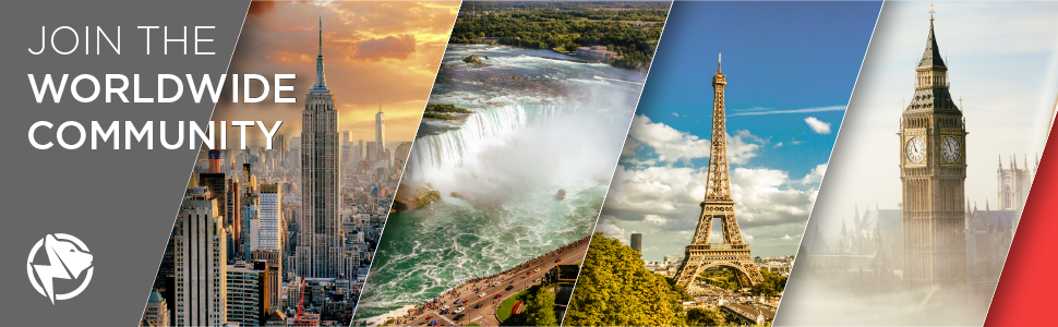 PowerBear Portable Radio