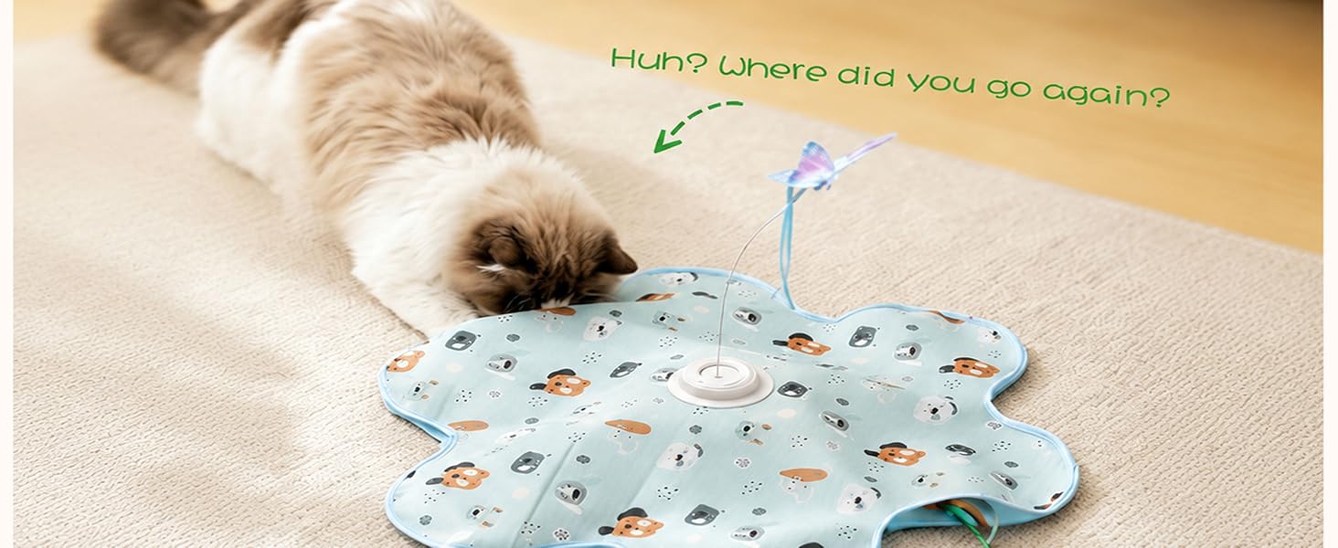 Pet toy
