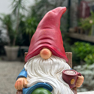 Gnomes Statue