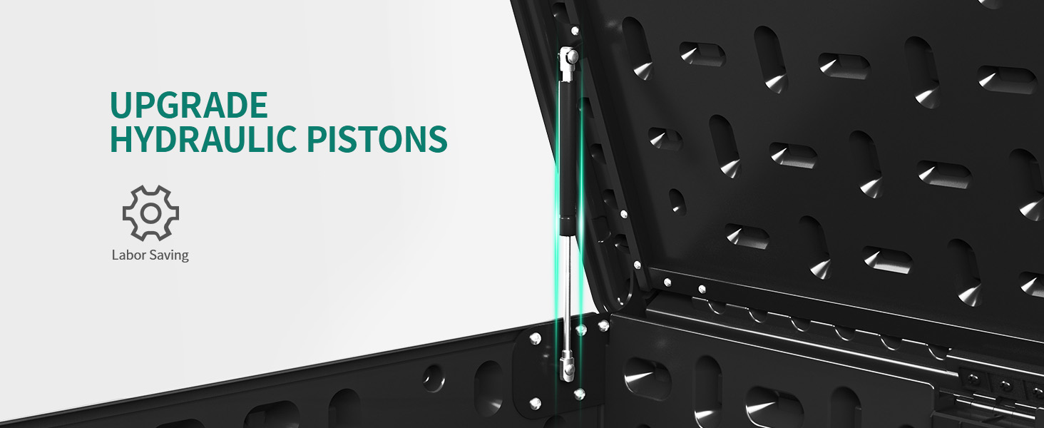 ???????? ??????????????????