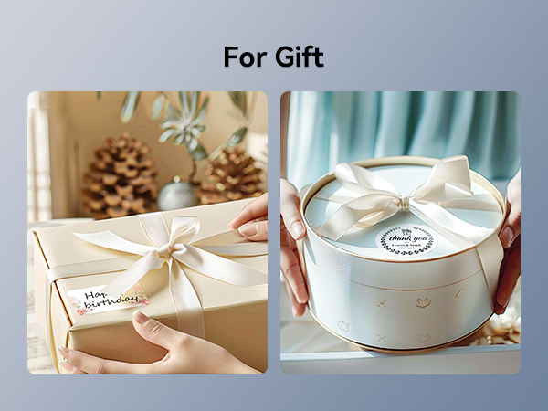 niimbot b1 label maker for gift label