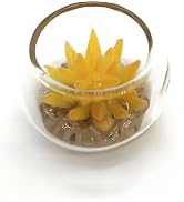 Tiosen Yellow Miniature Potted Plant, Artificial Plant Decor for Micro Landscape for Micro Landsc...