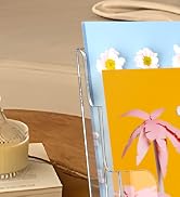 MaxGear Brochure Holder 2 Tier 4x9 inch 2 Packs Brochure Display Stand Flyer Holder Acrylic Broch...