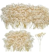 50Pcs Mini Dried Baby's Breath Flowers for Resin Art Craft DIY, 3000+ Natural Ivory White Bulk Fl...