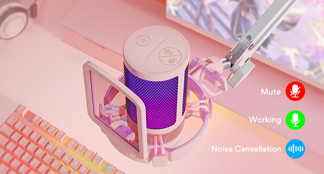 Microphone for Computer