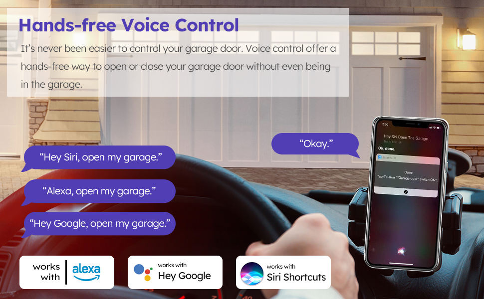 voice control