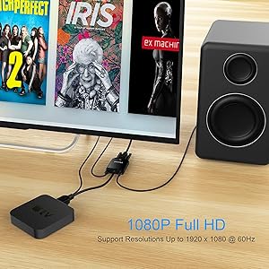 HDMI to VGA Adapter with audio
