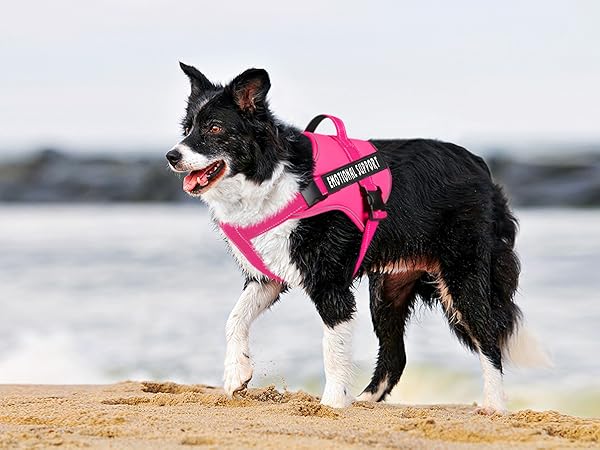 hot pink service dog harness