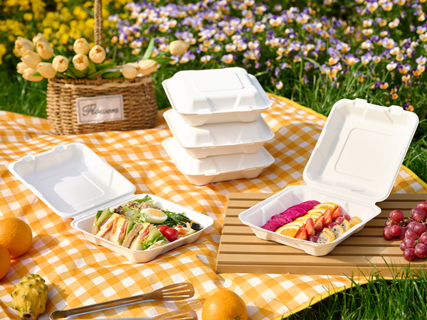 paper food containers