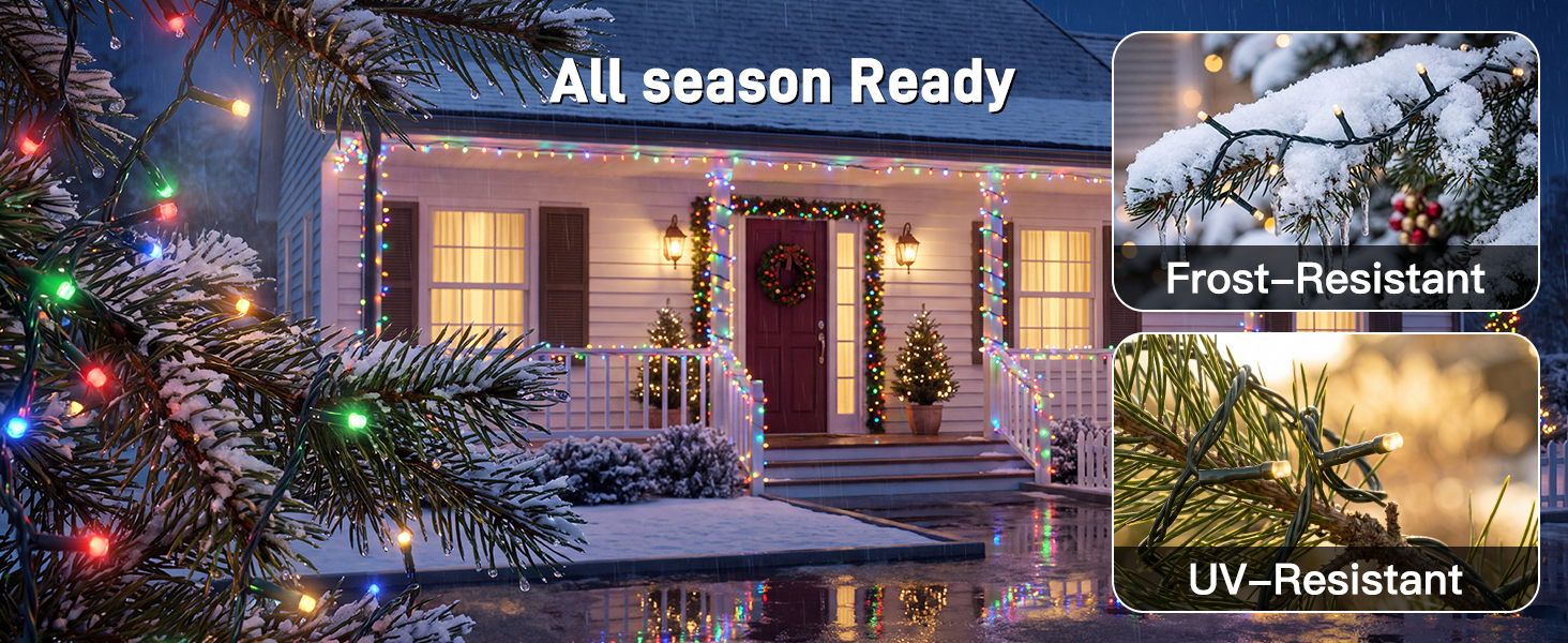christmas lights indoor