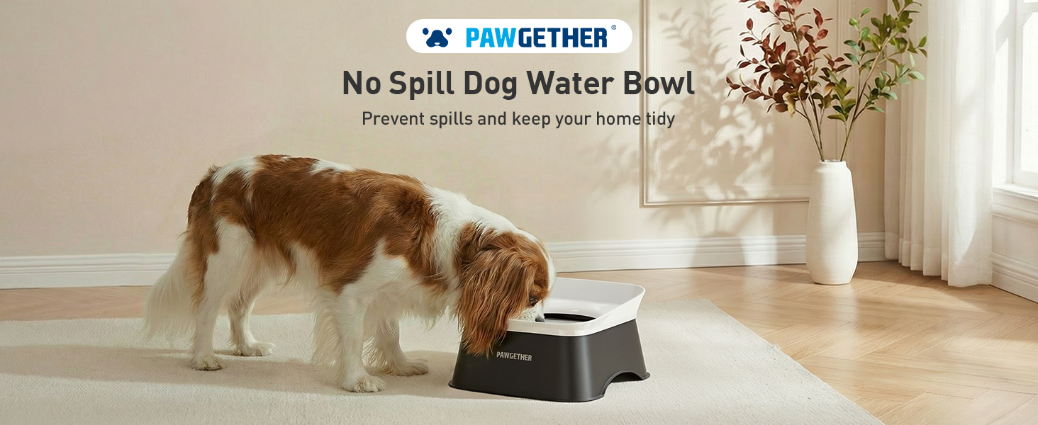 slow drinking dog water bowl