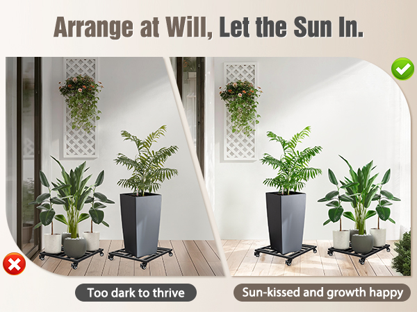plant caddy