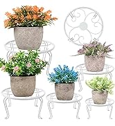 HAINARverS 5-Pack Metal Plant Stands for Indoor Outdoor, Heavy Duty Rustproof Iron Corner Flower ...