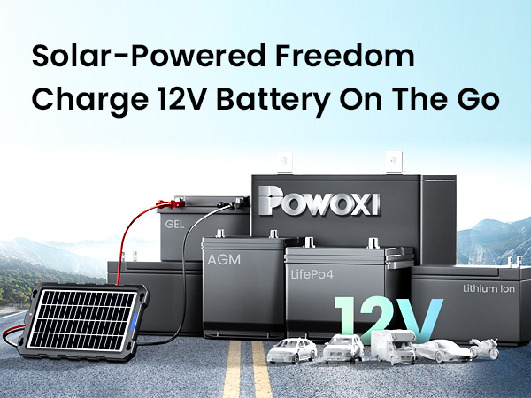 solar battery maintainer