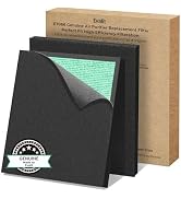 EVALIT Genuine ET066 Air Purifier Replacement Filter for ET066 Air Purifier, Washable HEPA 3-Stag...