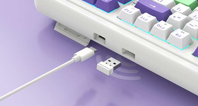 mechanical gaming keyboard