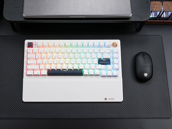 Hexgears E2sPro Mechanical Gaming Keyboard with Wrist Rest