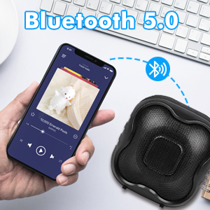 Bluetooth speaker