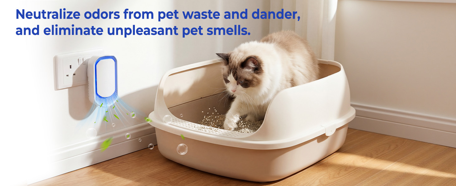 Air Purifier for Home