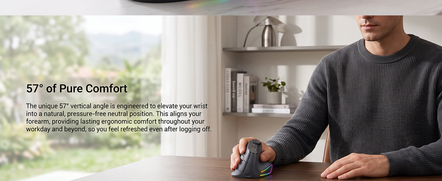 Ergonomic Wireless Mouse