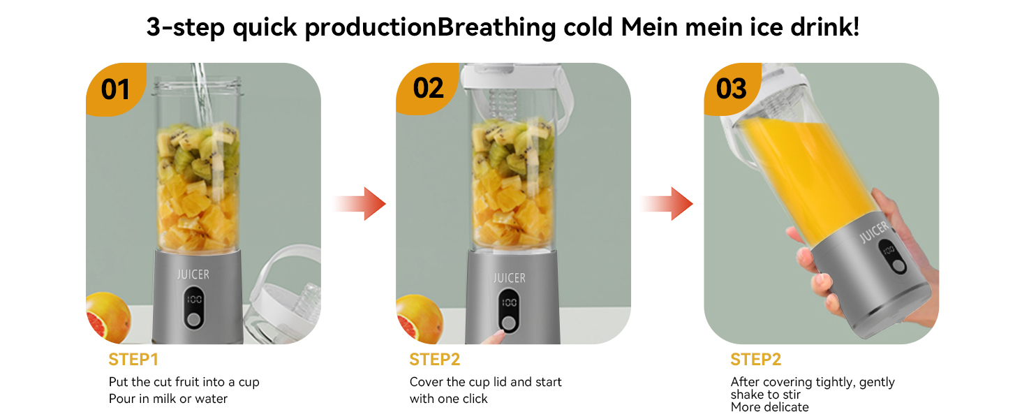 Personal electric juicer13