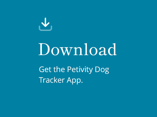 petivity dog owner with download image